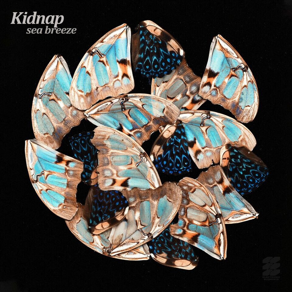 Kidnap releases new single - Sea Breeze - ahead of forthcoming album