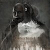 Dawn Of Disease  new album "Procession of Ghosts"