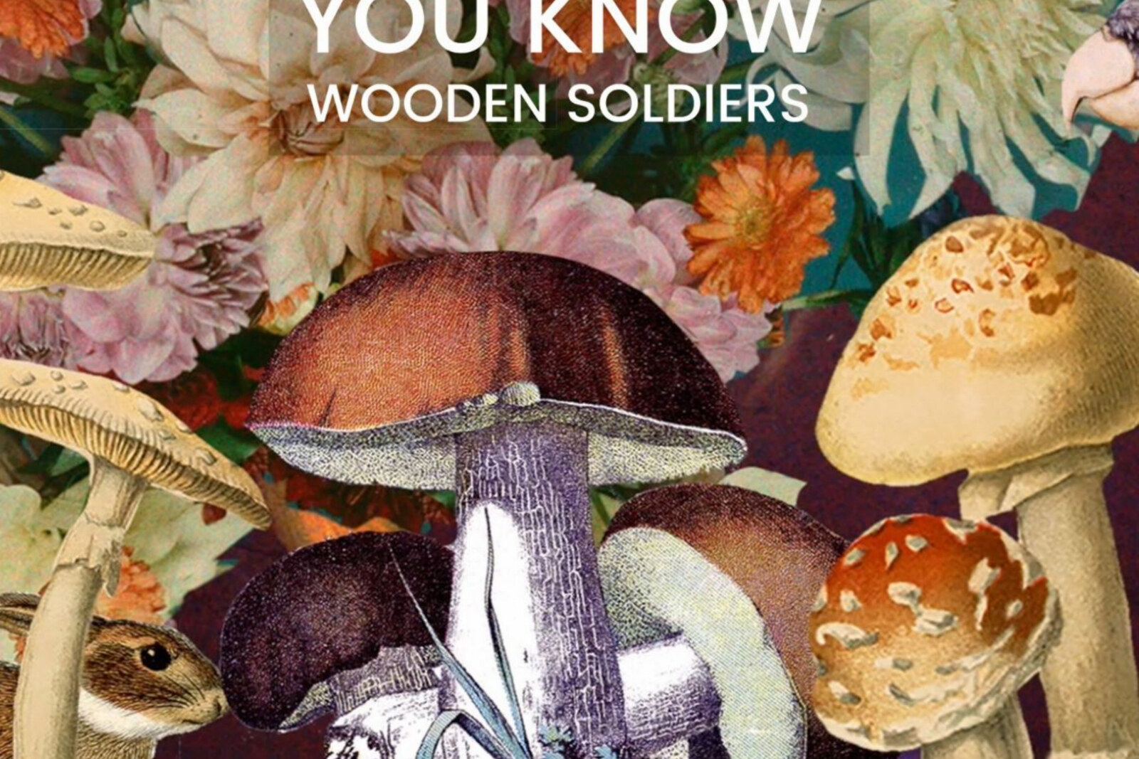 Dreamfolkband Wooden Soldiers kondigt albumreleaseshow en nieuwe single aan