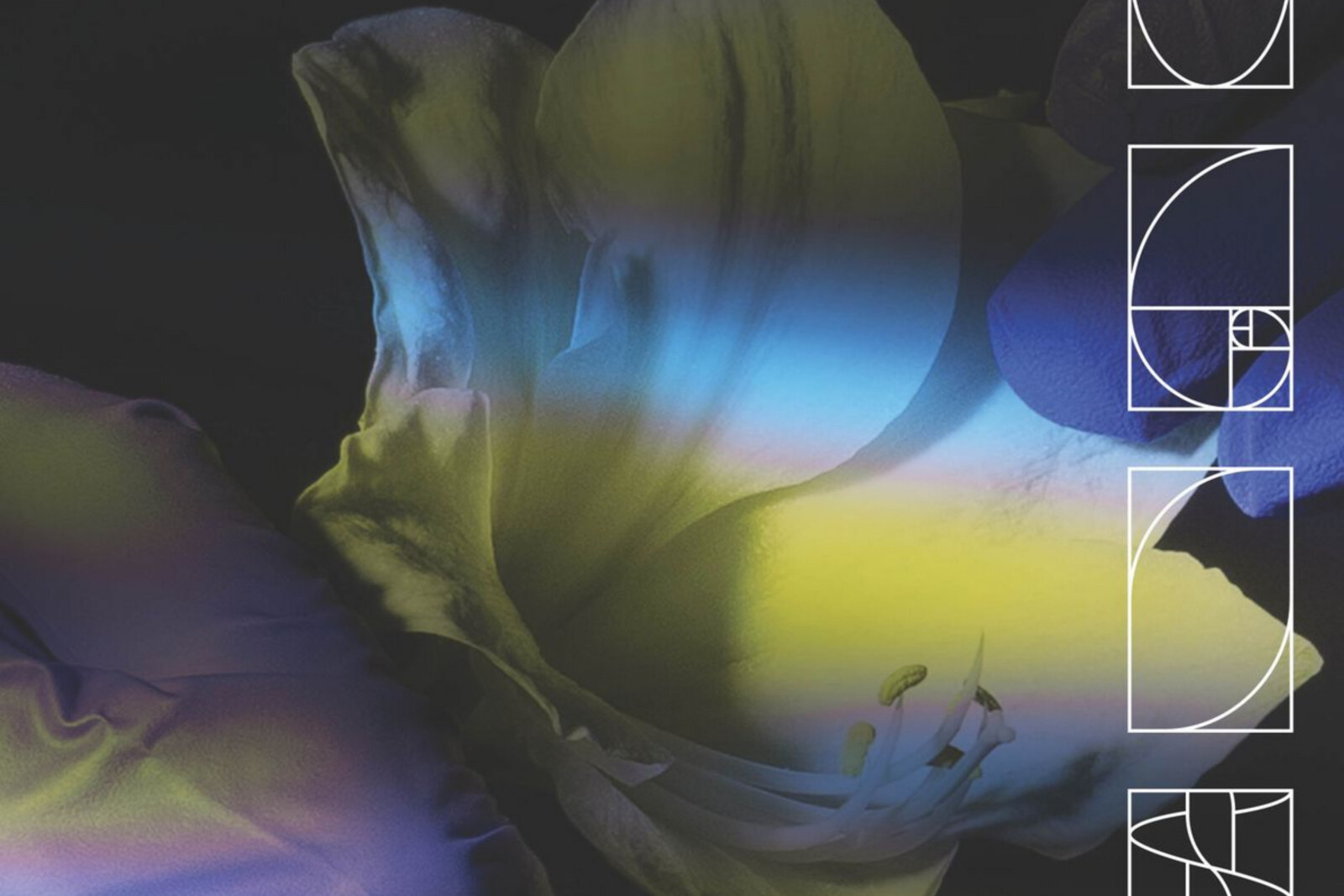 People And Environments Take Centre Stage In Excelsior's New "Time Of None" Video!