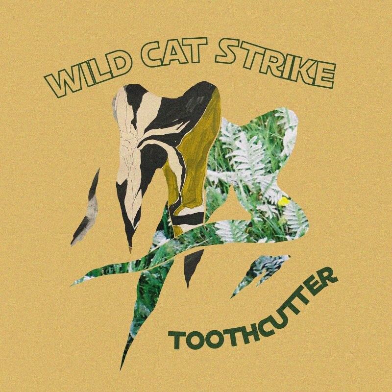 Wild Cat Strike Reveal Video For New Single ‘Toothcutter’ + November 2019 UK Tour Dates w/ Natalie Evans