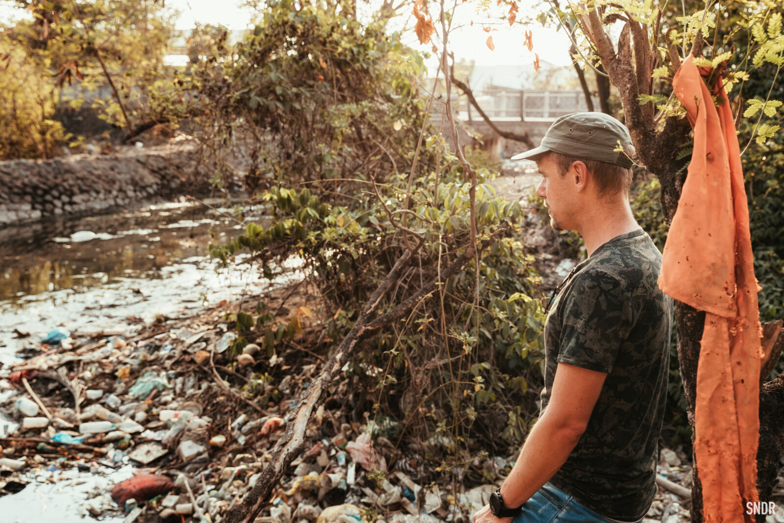 Armin van Buuren ‘Global Oceans Ambassador’ for World Wide Fund for Nature