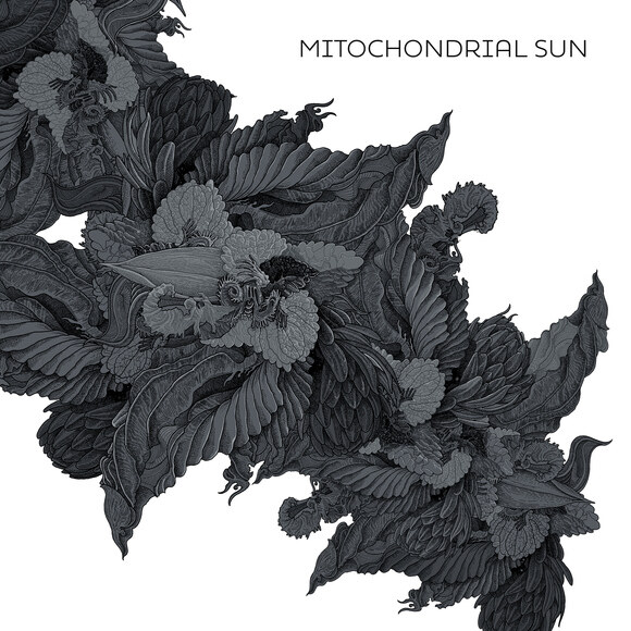 Dark Tranquillity's Niklas Sundin Shares Brand New Video From Upcoming Solo-Project MITOCHONDRIAL SUN