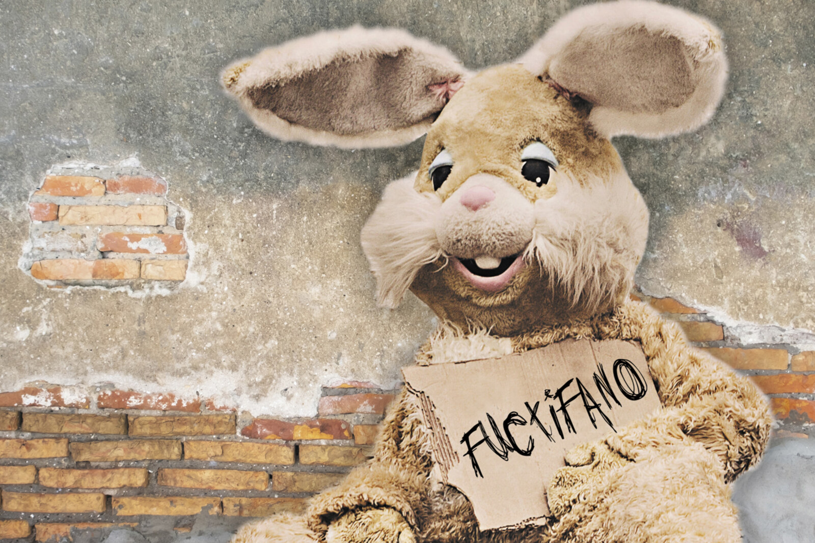 Peter and the Test Tube Babies release brand new single 'Facebook Loser' and start pre-orders for their upcoming album »Fuctifano«!