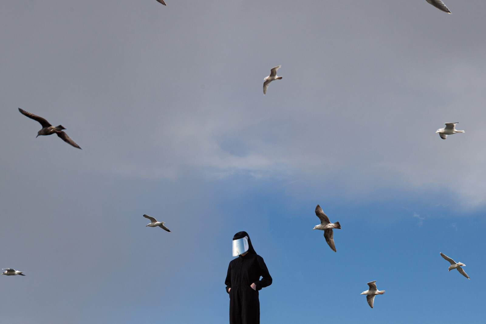 Hamerkop: New single 'The Splendour That Was Rome' - Album 'Remote' Out February 7th