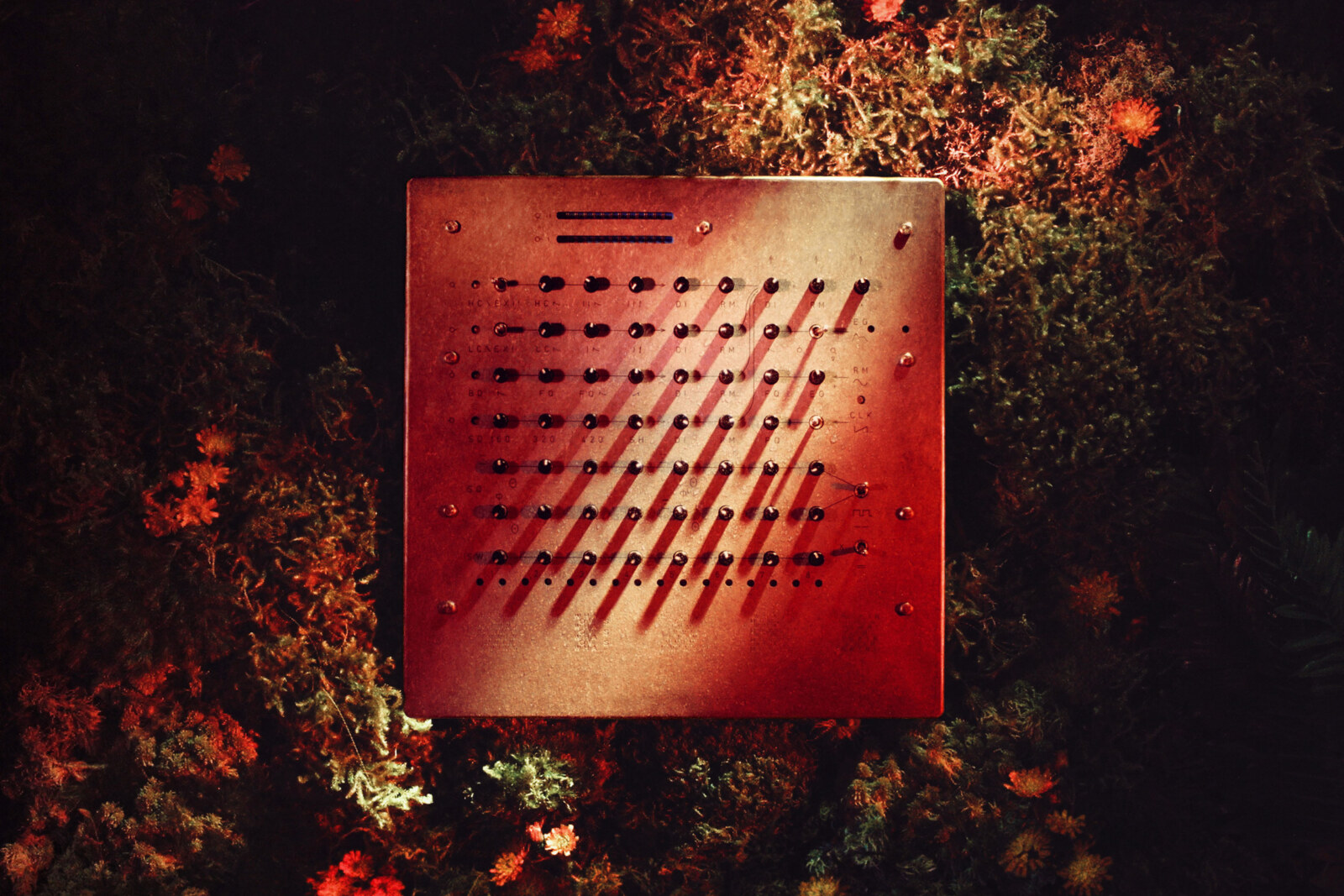 La Priest announces new album 'Gene' alongside with new single 'What Moves'