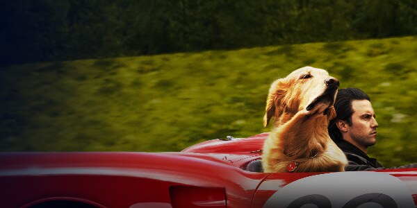 The Art of Racing in the Rain verschijnt als download en VOD