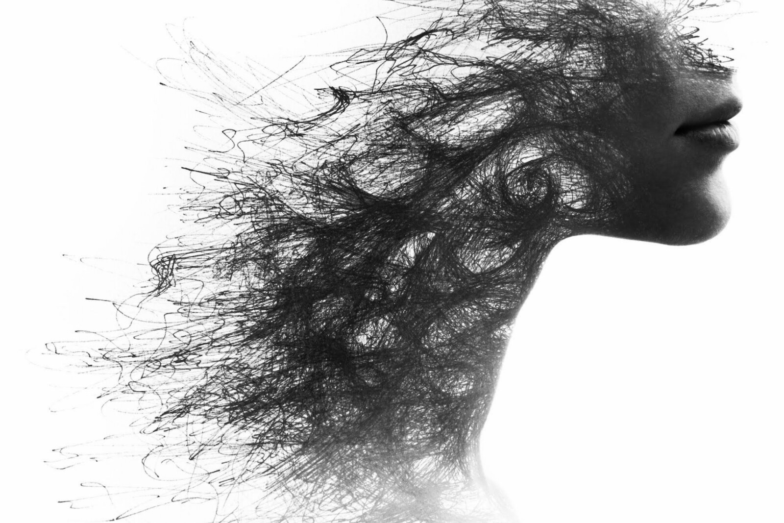 Driftwood nieuwe singel  Avalon is de tweede single van het full en debuut album 