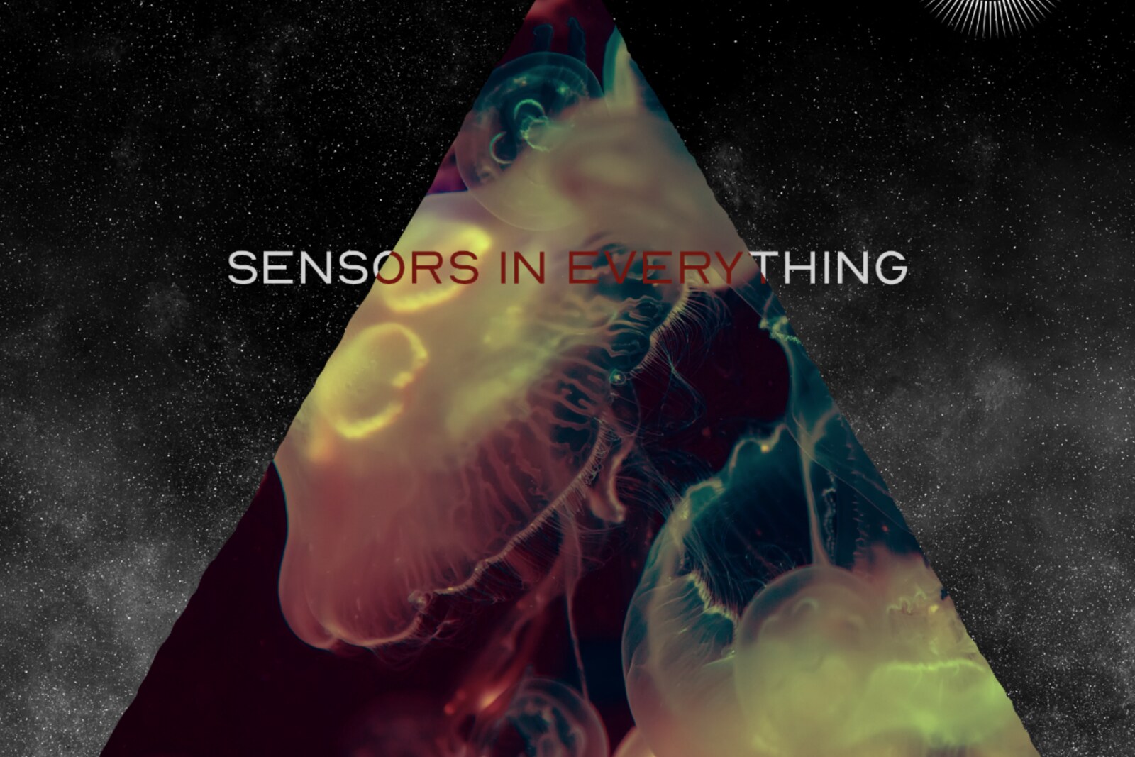 Poly math Stun On Epic 'Sensors In Everything’ Live Session