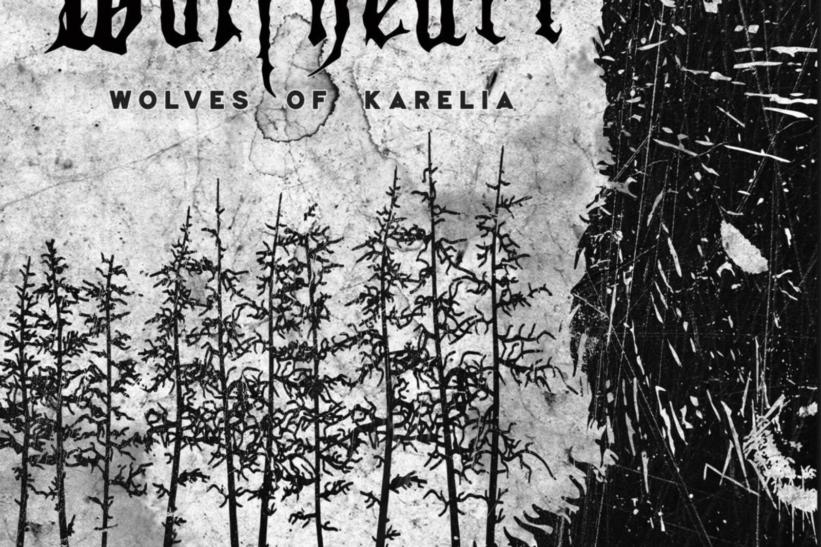 Wolfheart Releases Official Music Video for New Track "The Hammer"