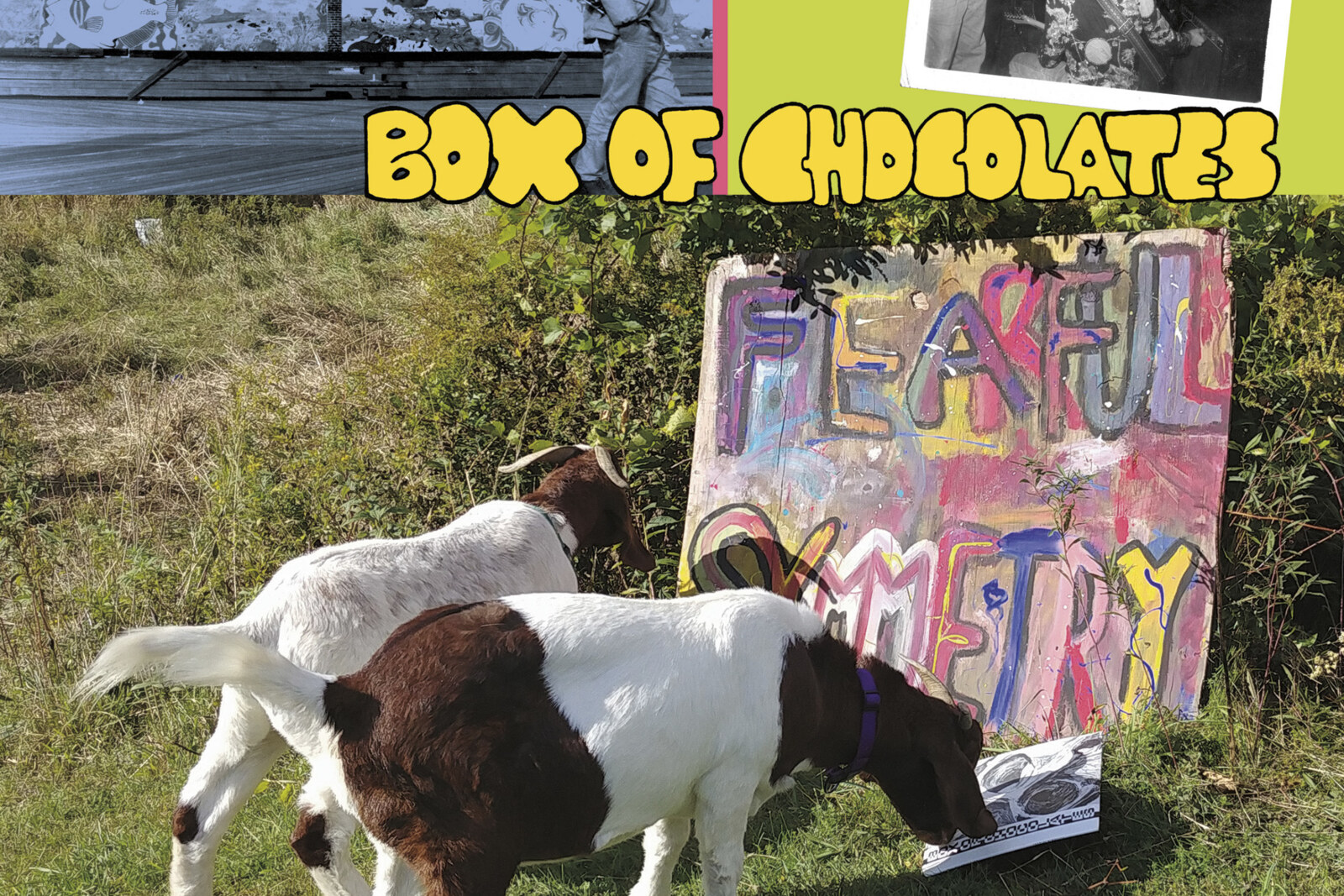 Box Of Chocolates: New Album 'Fearful Symmetry' Out June 12th