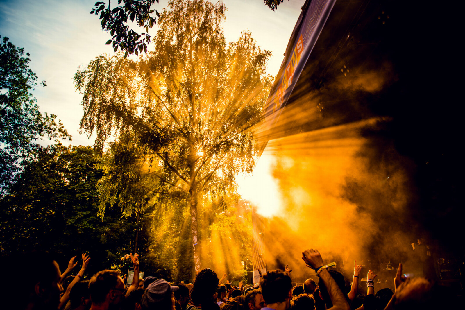 Een zomer zonder Cactusfestival