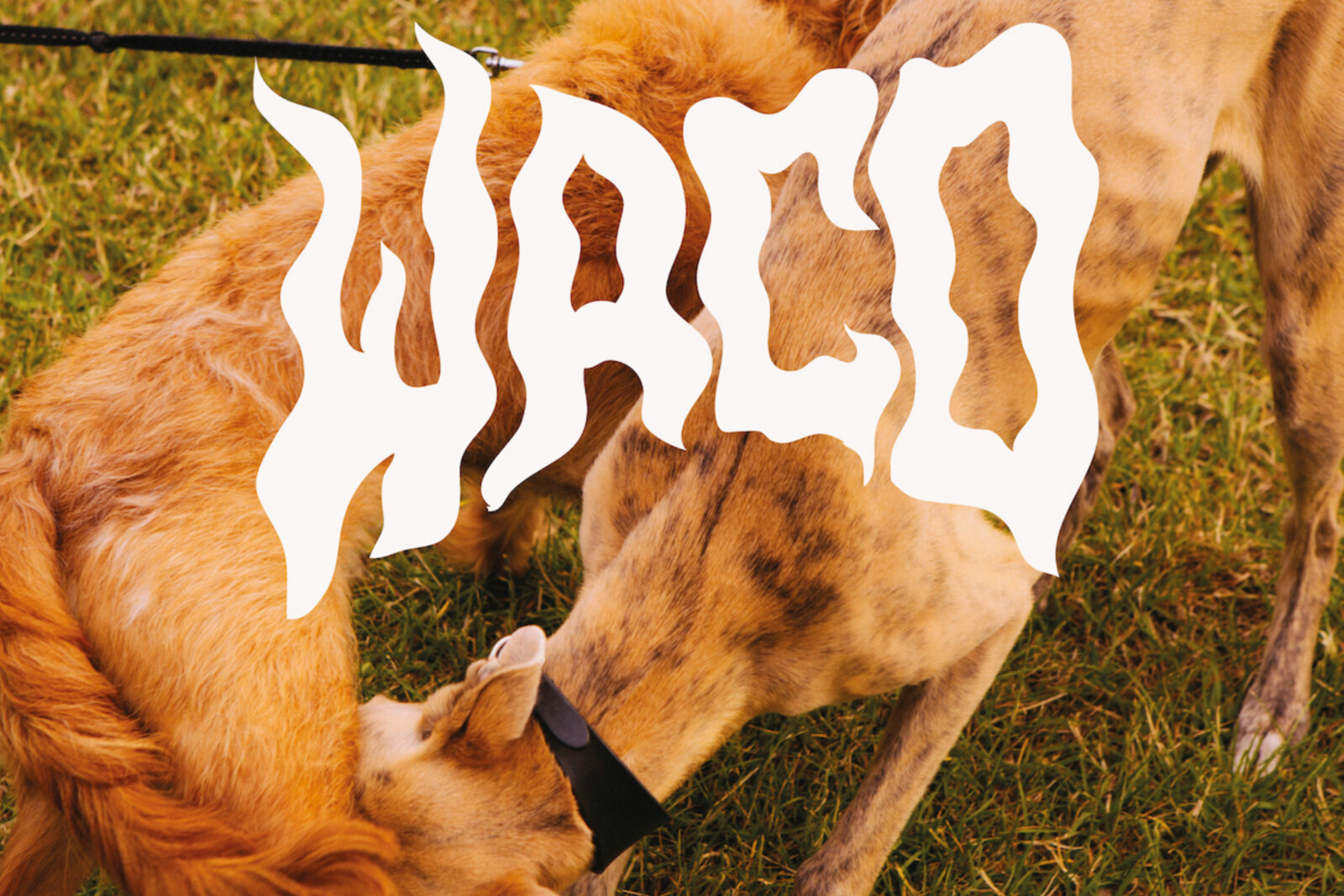 WACO Reveal Fan-Collab NHS Charity Single Video For ‘Good Days’