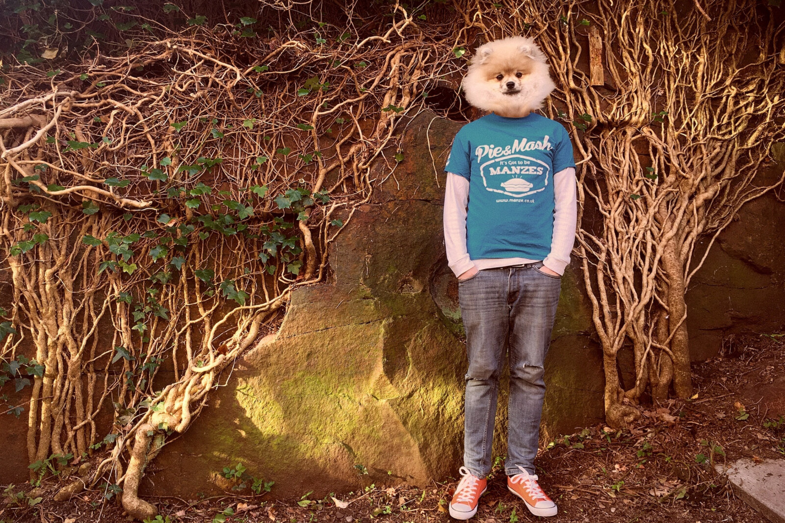 The Bridesmaid release new single 'One More Ugly Joke...'