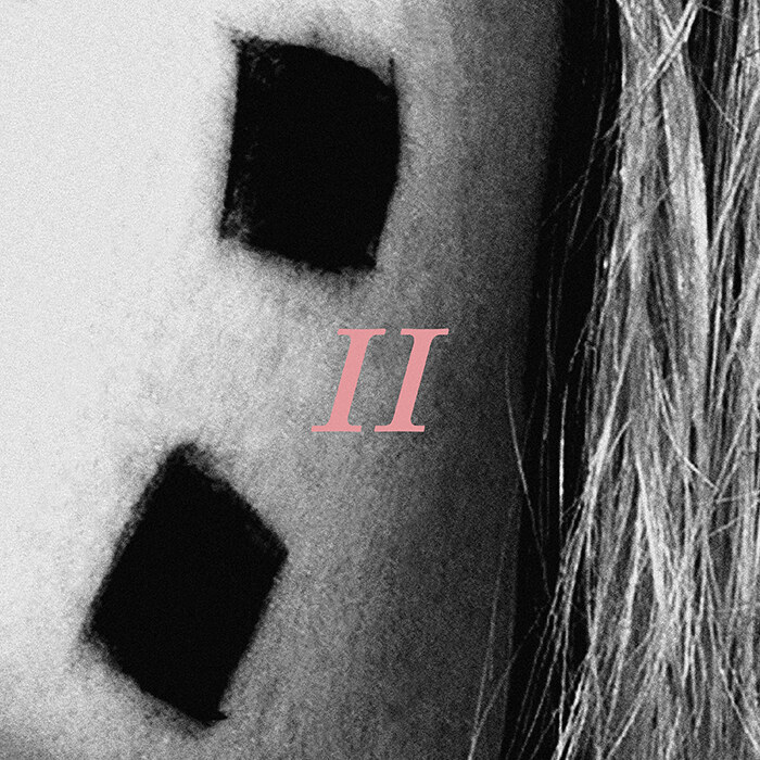 Hayley Williams stelt voor Petals For Armor I|