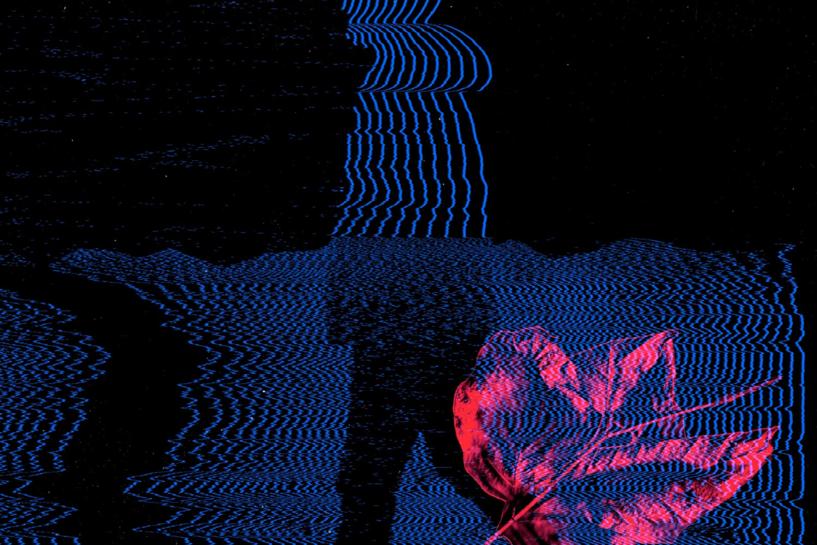 Genre-defying UK electronic producer obylx shares ‘Walk On’