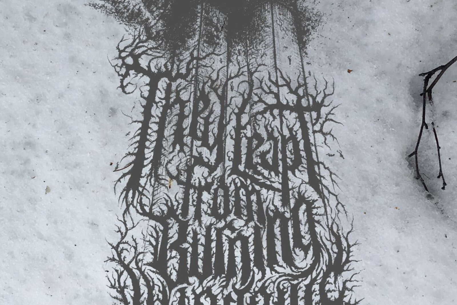 They Leapt From Burning Windows: Alaskan Black Metal Duo Announce Second Demo + Premiere "Ceo Dlúth" via No Clean Singing