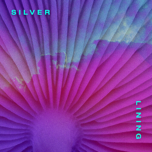 New Bleach Reveal "Silver Lining"