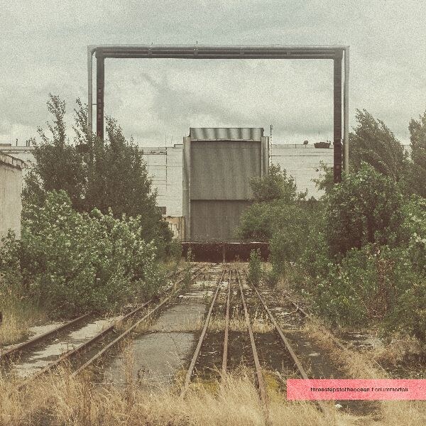Threestepstotheocean's brand new single “Fiori Immortali” has finally been released.