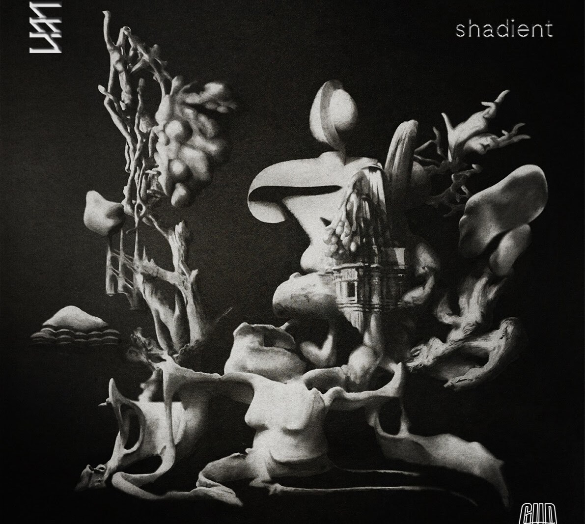 Experimental bass producer Shadient shares his Infinite Structure EP on Gud Vibrations