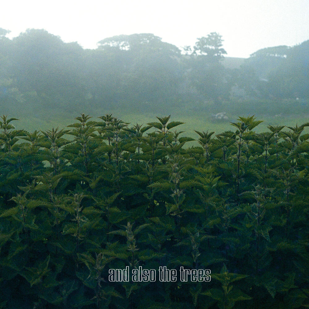 And Also The Trees viert 40e verjaardag met re-issue van debuutalbum uit 1984