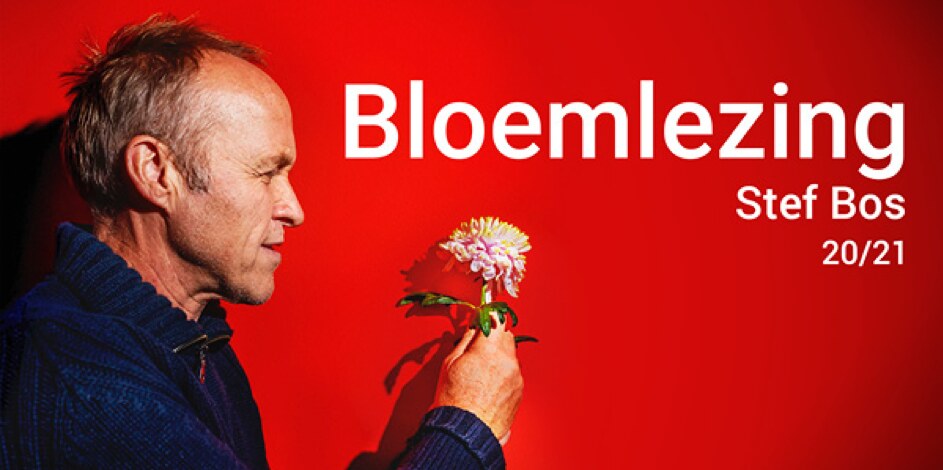 Stef Bos: Intieme solo tournee door Vlaanderen