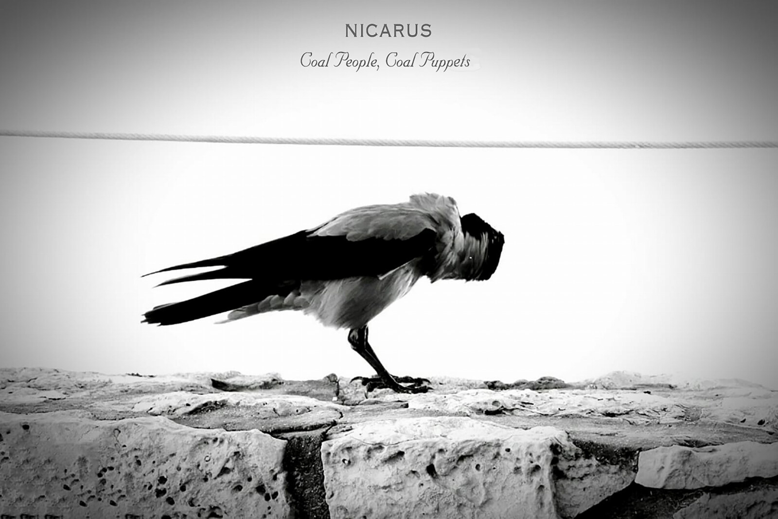Nicarus to release "Coal People, Coal Puppets"