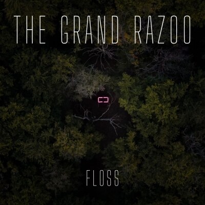 Recensie EP Floss van The Grand RazoO project van Wannes Beernaert