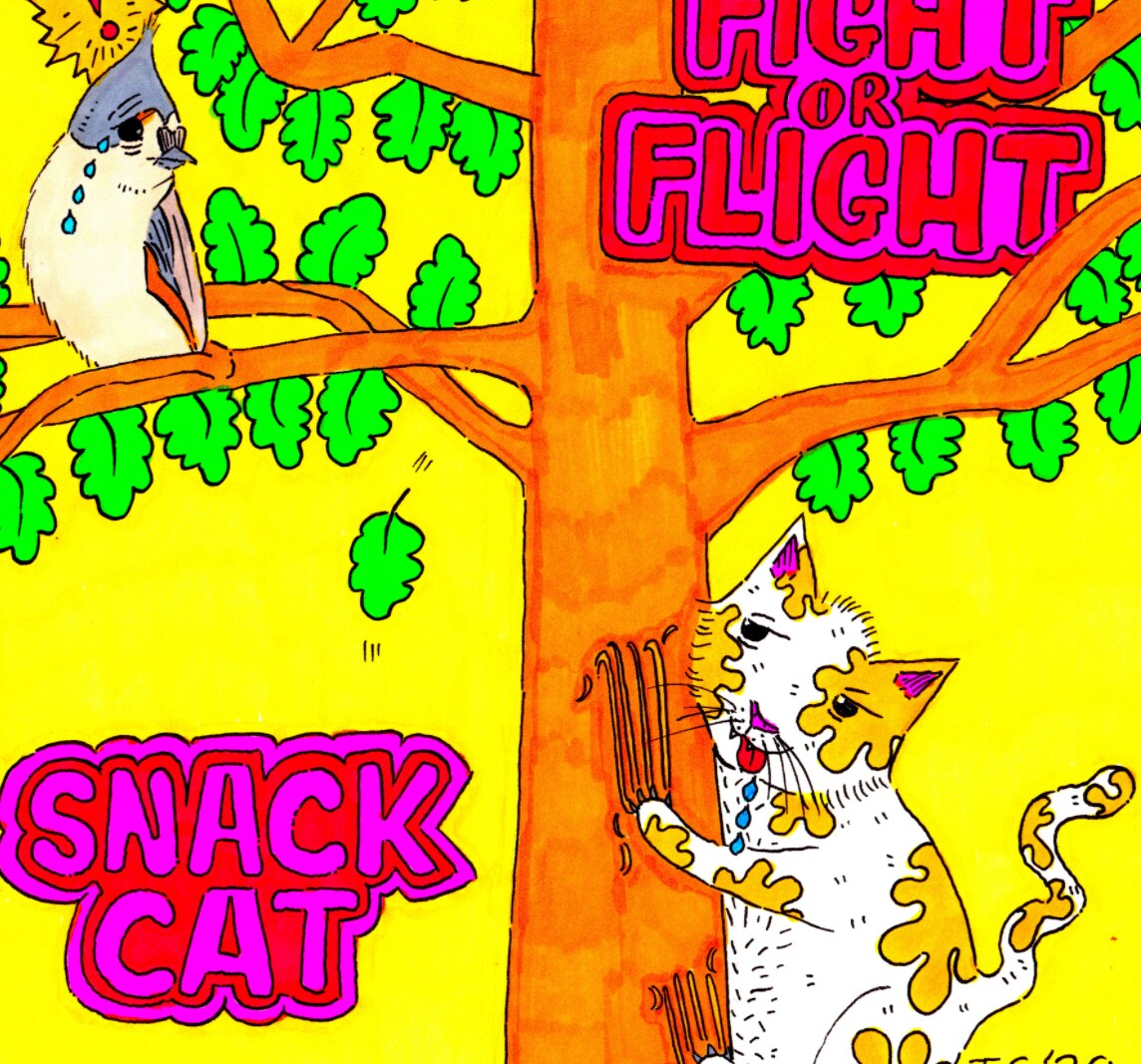 Snack Cat Puts Covid19 Experience Into Song For New Single: Fight or Flight