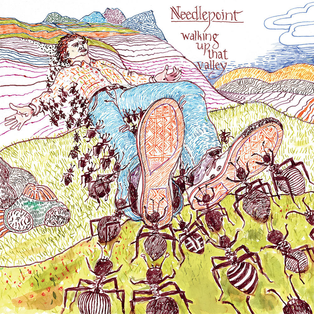 Norwegian Jazzy Prog-Rock Quartet Needlepoint Announces New Album "Walking Up That Valley"!
