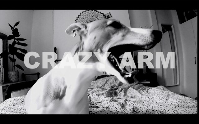 Crazy Arm release the hounds in 'Brave Starts Here' Video