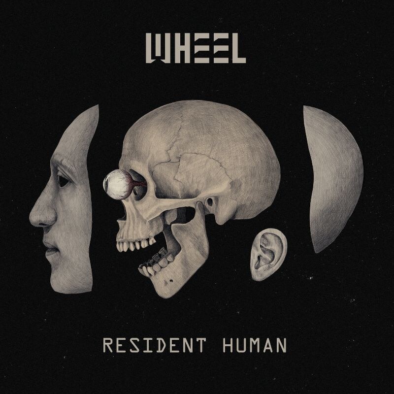 Wheel announce new album 'Resident Human'
