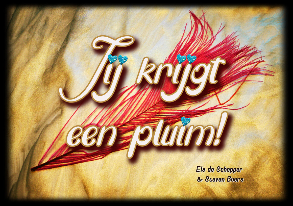 Els de Schepper start crowdfunding om uit de miserie te raken