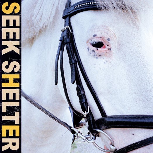 Iceage announce new album Seek Shelter, Out May 7th