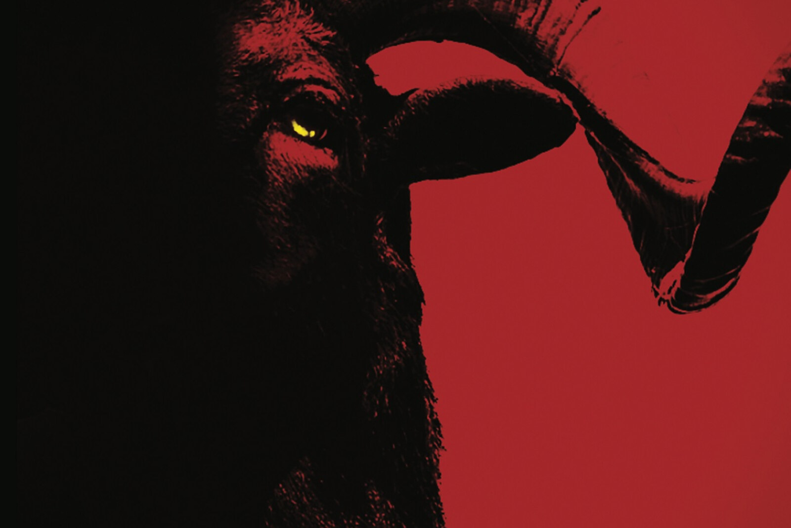 Shadows (Immolation, Goreaphobia): New Track Available For Streaming