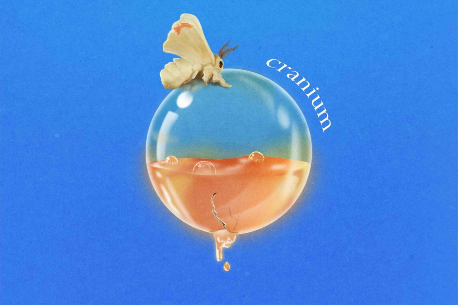 Slothrust share new single and video for 'Cranium'