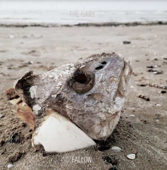 Austin, TX's The Gary Return With New 12" EP 'Fallow' Out Now