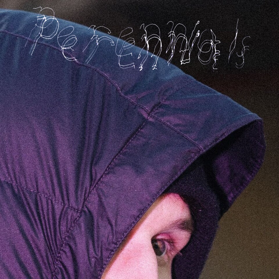 Sam Tudor Shares "Perennials"