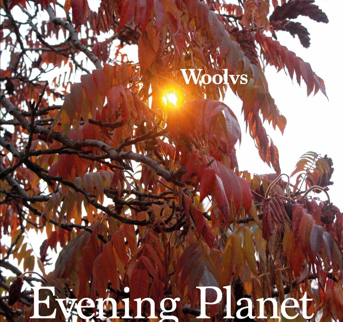 De Brusselse band Woolvs releasen hun debuut 'Evening Planet'.