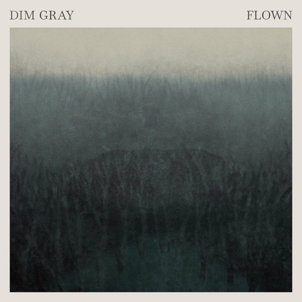 Dim Gray: 'Black Sun' - live video for song included on 'Flown' : 2xLP and CD formats of debut album by Norwegian art rock trio out 11.06.21