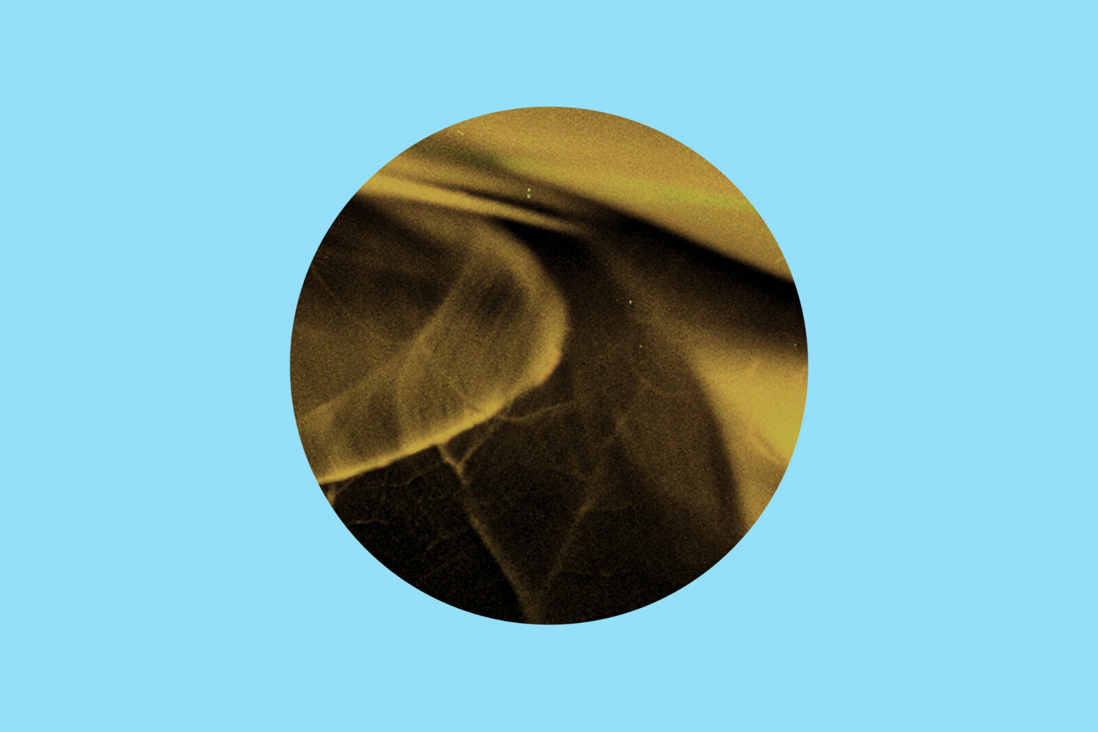  Protocol veterans Stadiumx & Teamworx team up on fusion of dance and pop "7 Days" (out now)