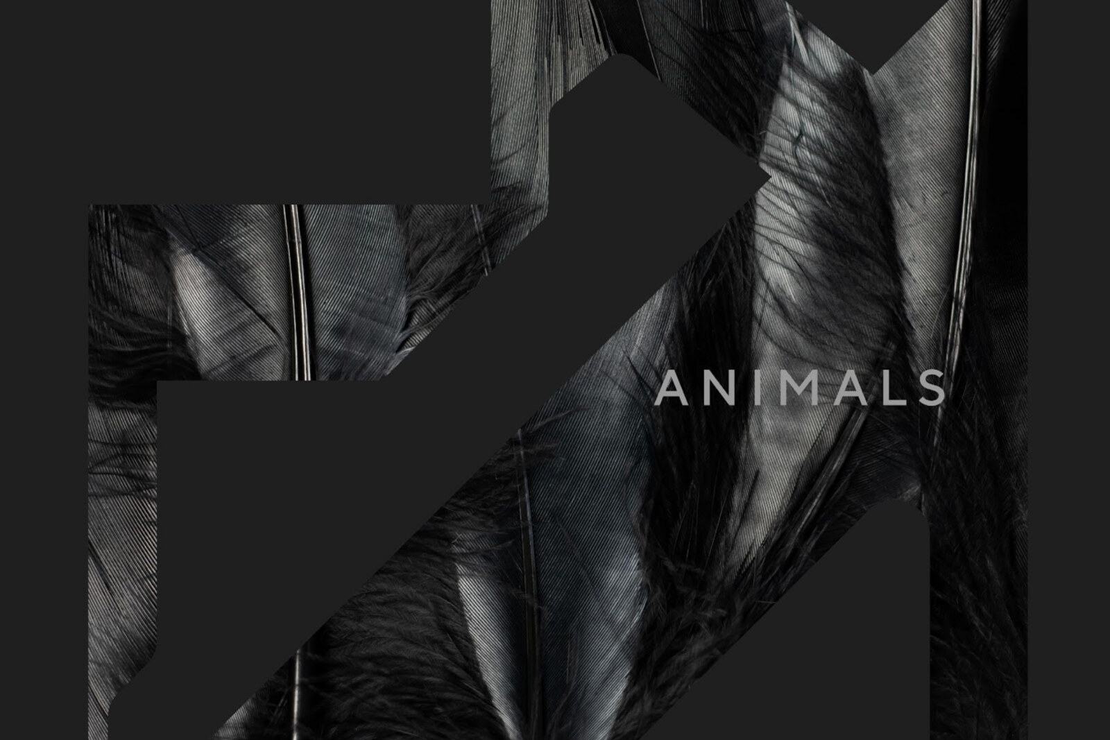 Rhys Fulber (Frontline Assembly/Delirium) releases new Conjure One single 'Animals'