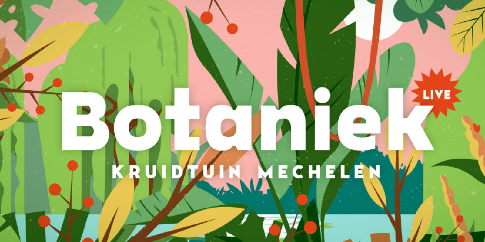  Ontdek het volledig programma van Botaniek Live, de nieuwe zomerse concertreeks in Mechelen