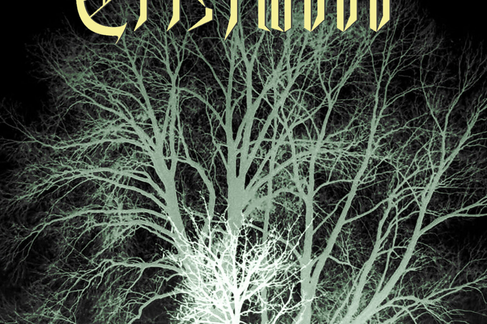 Out soon! Tristwood - "Dystopia et Disturbia MMXXI"