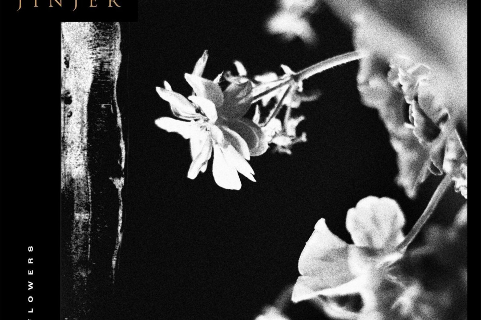 Jinjer reveals First Single “Vortex”, Announces New Album: “Wallflowers”