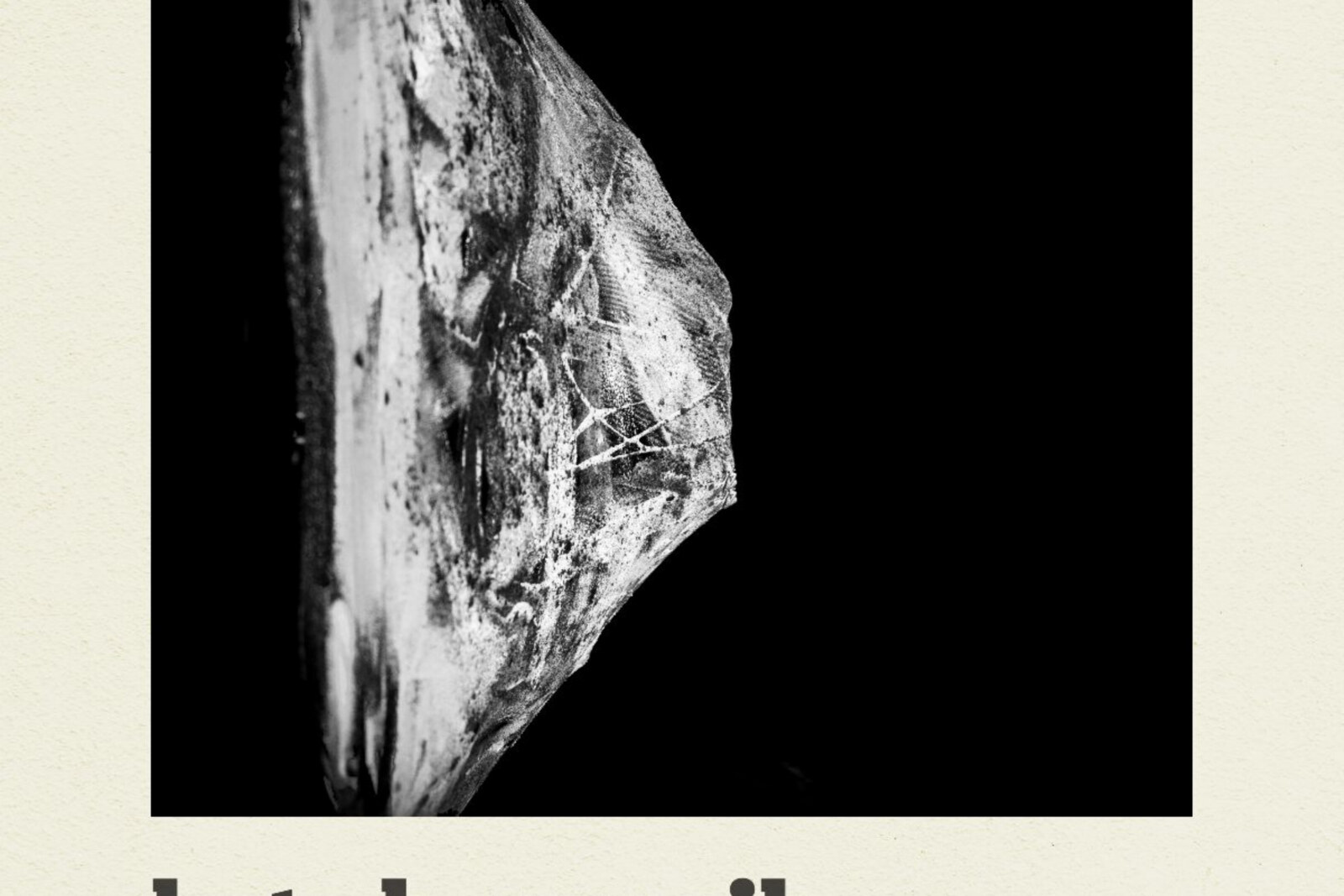 Kate Havnevik releases pulsating new single 'Into Dark'