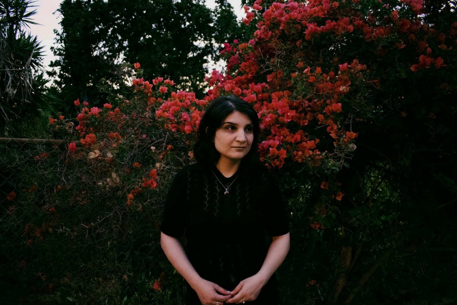 Sarah Davachi announces new album "Antiphonals"