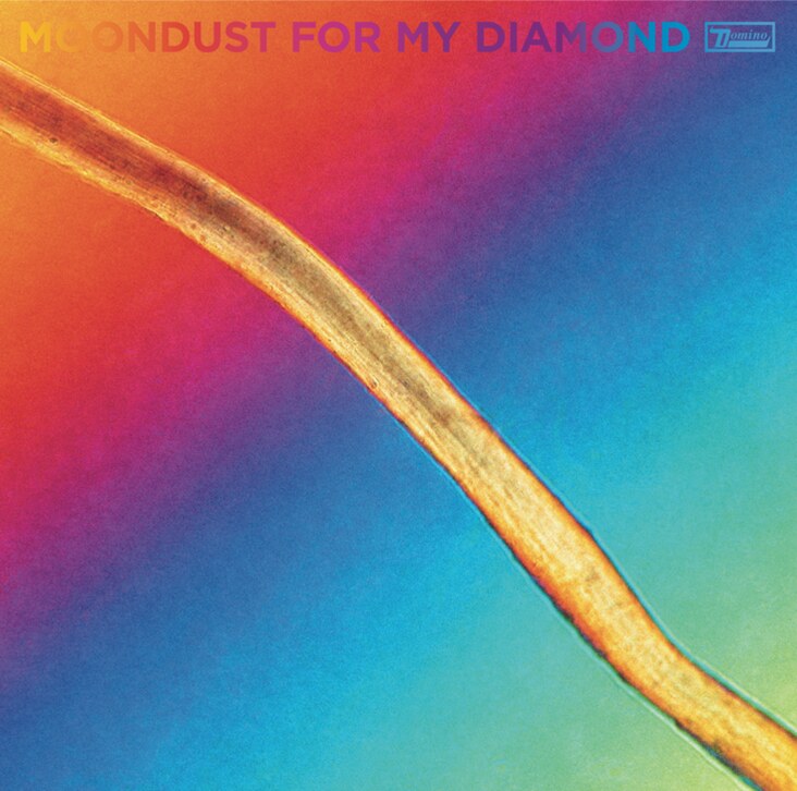 Hayden Thorpe announces "Moondust For My Diamond"