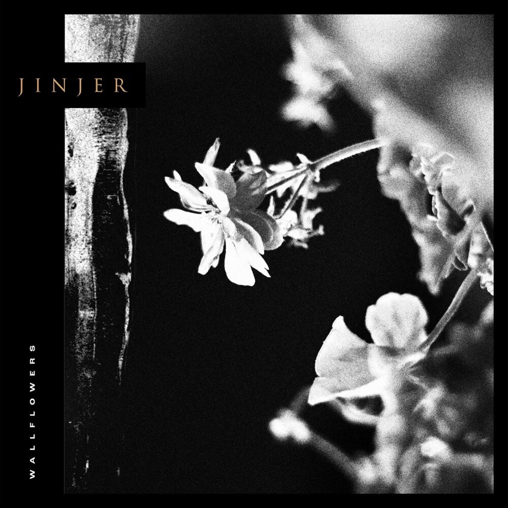 Jinjer Reaches Aggressive New Levels with Second Single + Music Video “Mediator”!