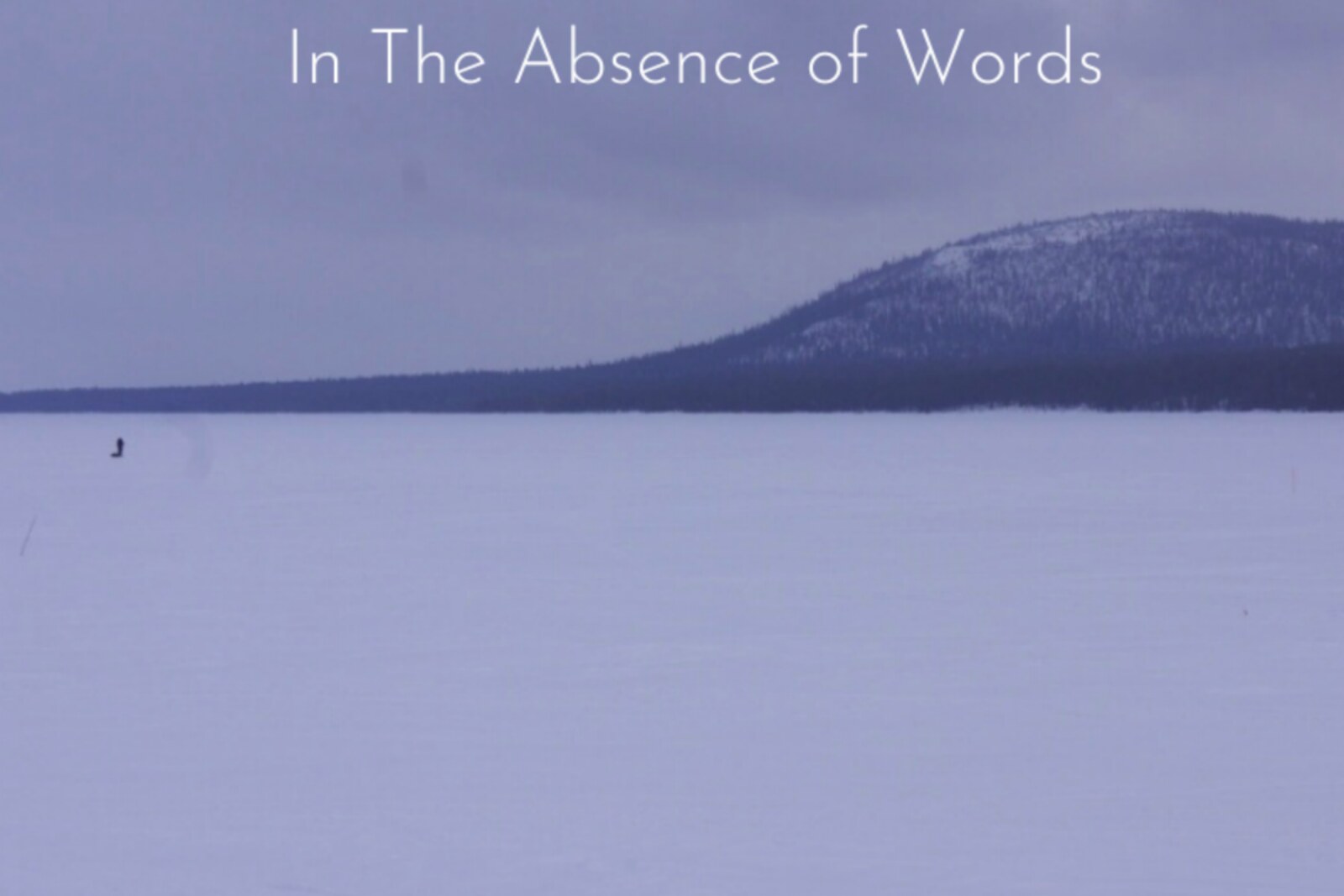 In The Absence Of Words present their second volume of immersive ambient sound - A Collection II